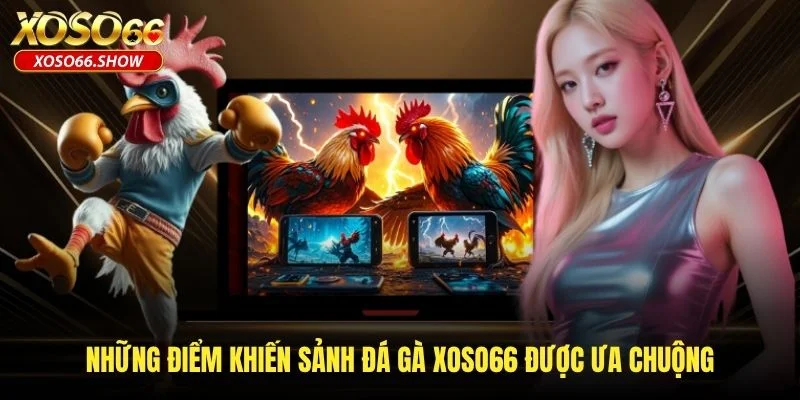 Những điểm khiến sảnh đá gà XOSO66 được ưa chuộng Những điểm khiến sảnh đá gà XOSO66 được ưa chuộng